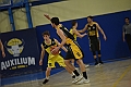 MAS_5333