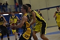 MAS_5493