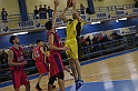 MAS_6900