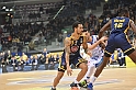 MAS_7338