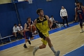 MAS_9377