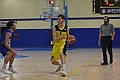 MAS_3558