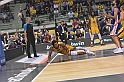 MAS_9095