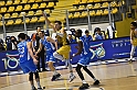 MAS_4833