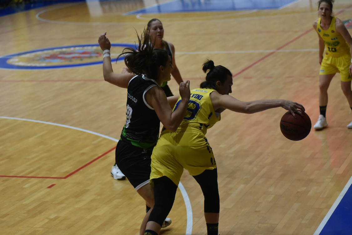 MAS_0332.jpg
