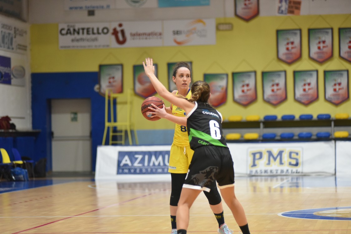 MAS_0497.jpg