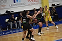 MAS_0367