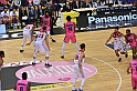 MAS_6133