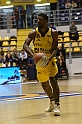 MAS_0081