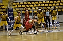 MAS_2753