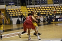 MAS_2931