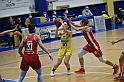 MAS_3534