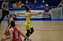 MAS_3911