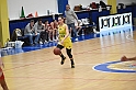 MAS_6447
