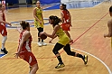 MAS_6528
