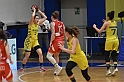 MAS_6537