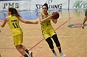 MAS_6544