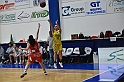 MAS_6695