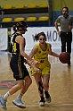 MAS_3264