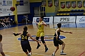 MAS_3367