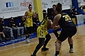 MAS_1291