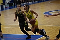 MAS_1339