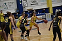 MAS_1376