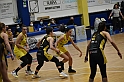 MAS_1377