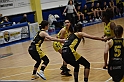 MAS_1381