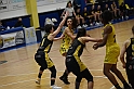MAS_1382