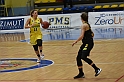 MAS_1428
