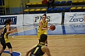 MAS_1537
