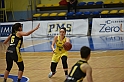 MAS_1538