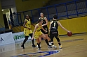 MAS_1646