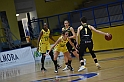 MAS_1647
