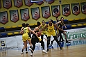 MAS_1649