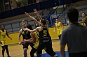MAS_1667