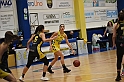 MAS_1779