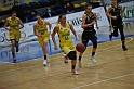 MAS_1831