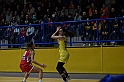 MAS_6008