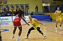 MAS_6061