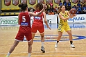 MAS_6081