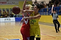 MAS_6113
