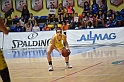 MAS_6196