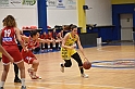 MAS_6228