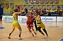 MAS_6237