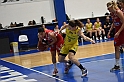 MAS_6241