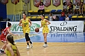 MAS_6362