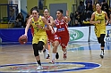 MAS_6466