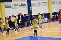 MAS_6553